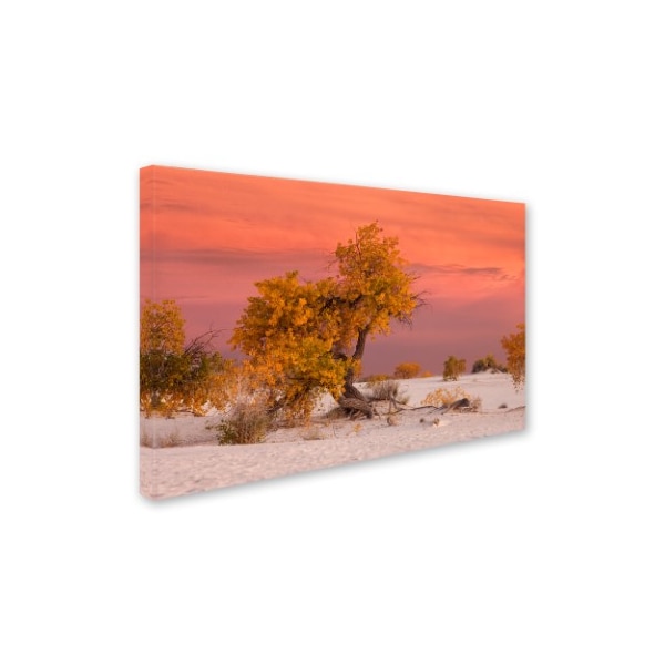 Mike Jones Photo 'White Sands Yellow Tree' Canvas Art,16x24